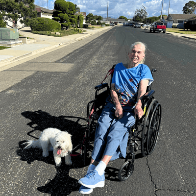 Elderly woman in a wheelchair with a dog on a sunny street