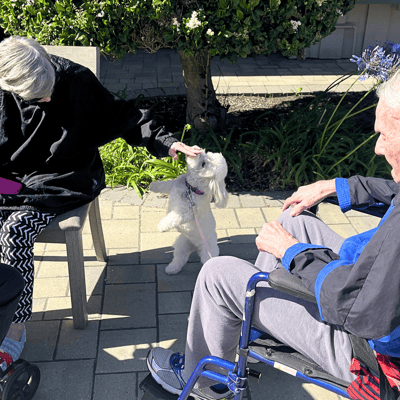 Residents enjoying time with a small dog in the garden