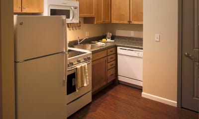 Modern kitchen interior with appliances and cabinets