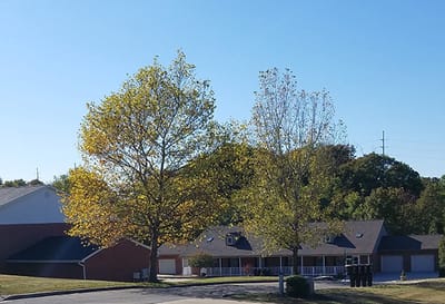 Exterior view of a senior living facility with trees