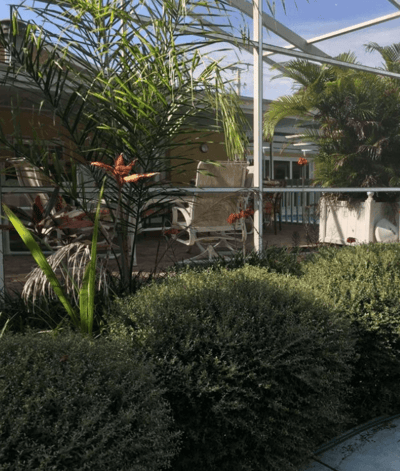 Lush garden area within a senior living facility