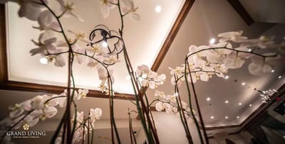 Close-up view of flowers in a well-lit common area