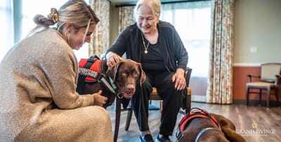 Residents interacting with therapy dogs in a cozy activity room