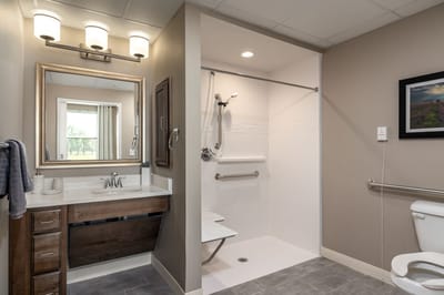 Modern bathroom with accessible shower features