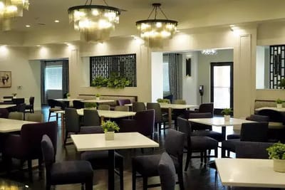 Bright and modern dining area with tables and plants