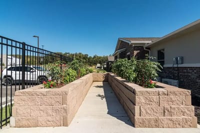 Well-maintained outdoor garden area with flower beds