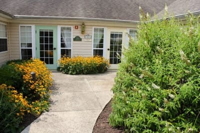 Courtyard with yellow flowers and green hedges