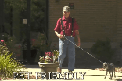A resident walking a dog outside