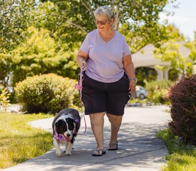 Resident walking a dog in a sunny garden path