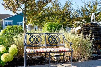 A bench near a fountain in a landscaped outdoor area