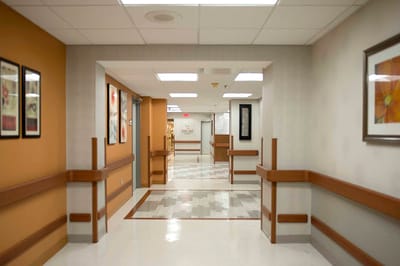 Bright interior hallway with artwork