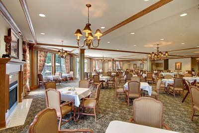 Bright dining room with elegant furnishings