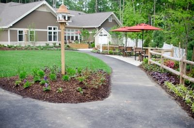 Pathway leading to a landscaped outdoor space