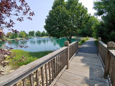 Wooden bridge leading to a serene pond
