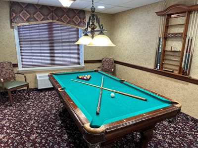 Interior view of a billiards room with a pool table