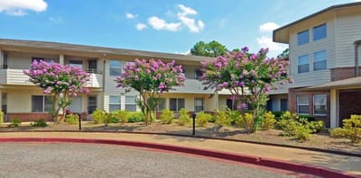 Outdoor view of a senior living facility with blooming trees