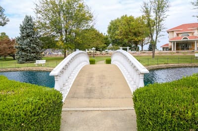 A picturesque bridge over a garden pond