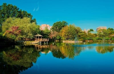 Scenic view of a pond and gazebo surrounded by trees