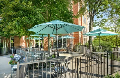 Outdoor seating area with umbrellas and plants