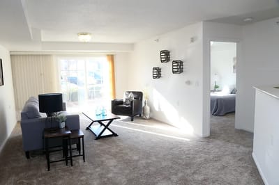 Bright living room area with modern furnishings