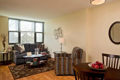 Cozy living room setup in a senior apartment