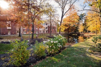 Beautifully landscaped outdoor area with a pond and colorful trees