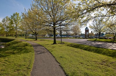 Pathway surrounded by trees leading to the facility