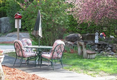 Outdoor seating area with flowering trees
