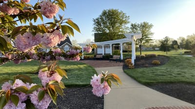 Beautiful outdoor garden with blooming flowers and pathways