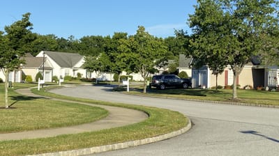 Street view of a residential area with houses