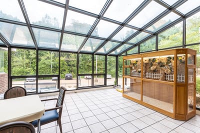 Bright sunroom with seating and greenery