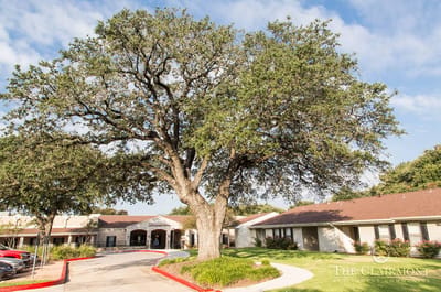 Exterior view of The Clairmont with large tree