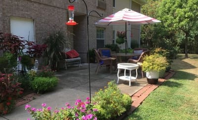 Outdoor patio area with seating and plants