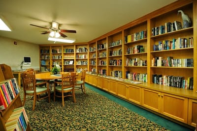 Interior view of a cozy library space with bookshelves