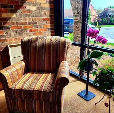 Cozy chair by the window with a plant and orchid