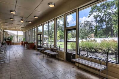 Bright sunlit common area with seating and large windows