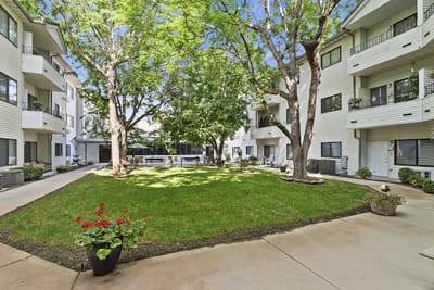 Outdoor courtyard with greenery and building balconies