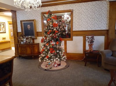 Christmas tree decorated in a cozy common area