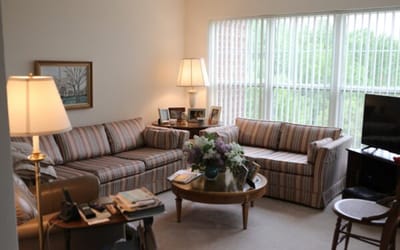 Cozy living area with striped couches and natural light
