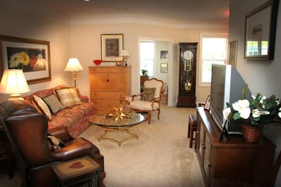 Cozy living room interior with comfortable seating