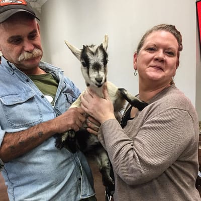 Staff holding a baby goat during a visit