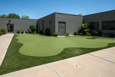 A well-maintained outdoor space with grass and landscaping