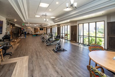 Well-equipped therapy room with fitness equipment
