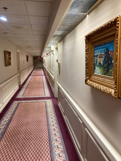 A well-decorated hallway with paintings and carpet