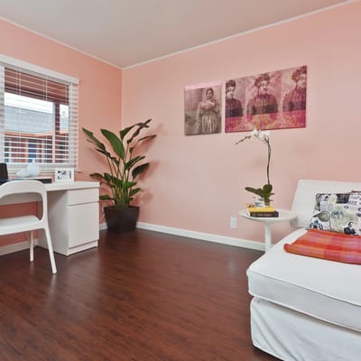 Interior room with desk and plant