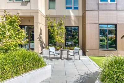 Outdoor seating area with chairs and greenery