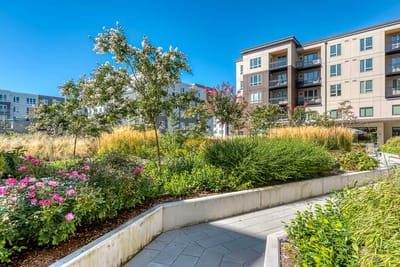 Beautiful landscaped garden in a senior living community