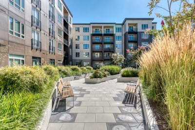Outdoor garden area with benches and greenery