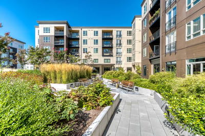 Pathway through landscaped outdoor space with benches
