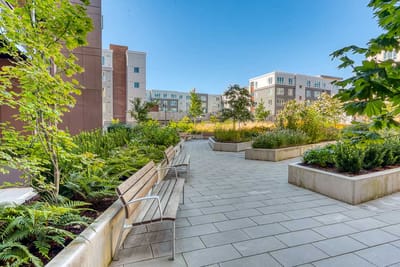 Pathway through landscaped outdoor space with benches